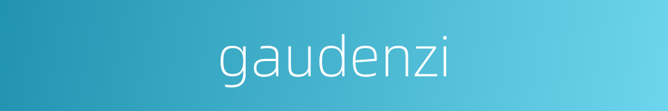 gaudenzi的同义词
