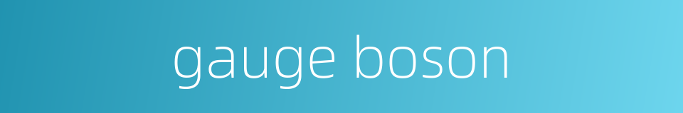 gauge boson的同义词