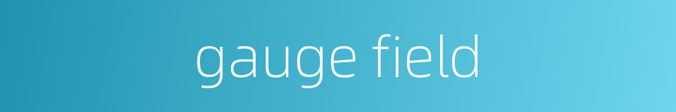 gauge field的同义词