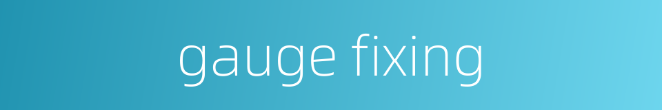 gauge fixing的同义词