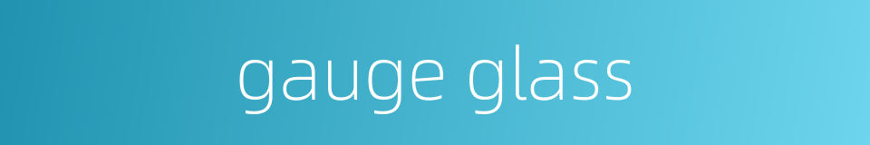 gauge glass的同义词