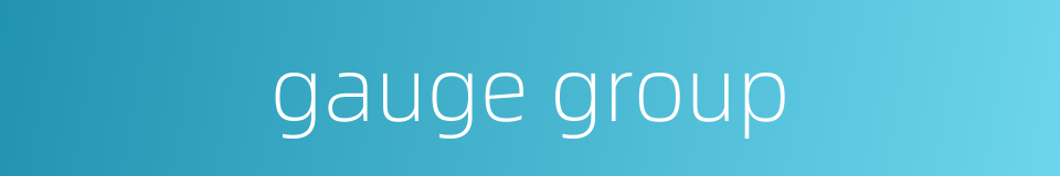 gauge group的同义词