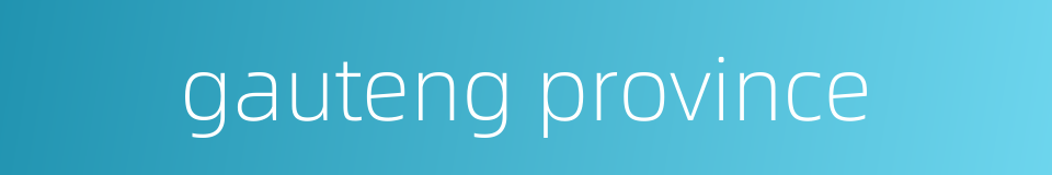 gauteng province的同义词