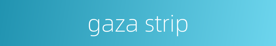 gaza strip的同义词