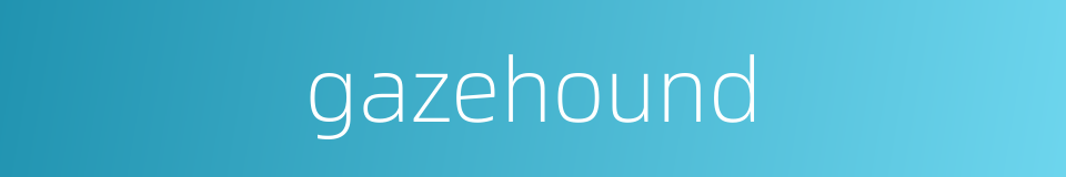 gazehound的同义词