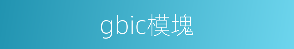 gbic模塊的同義詞