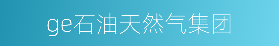 ge石油天然气集团的同义词