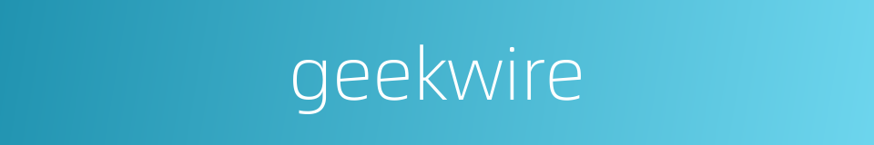 geekwire的同义词