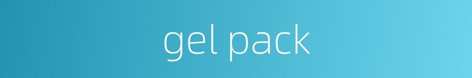 gel pack的同义词