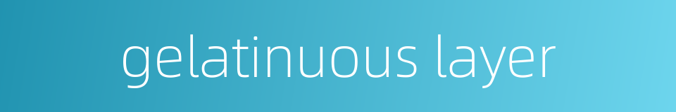 gelatinuous layer的同义词