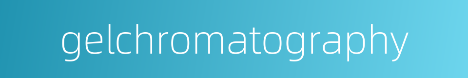 gelchromatography的同义词