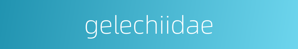 gelechiidae的同义词