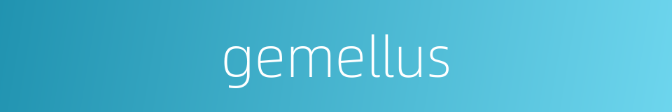 gemellus的同义词