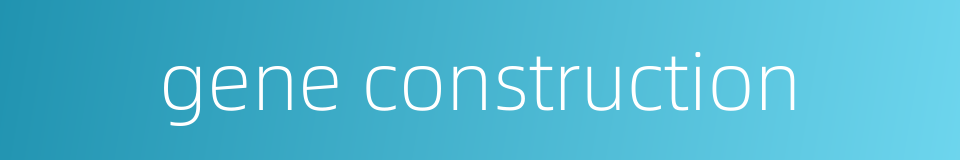gene construction的同义词