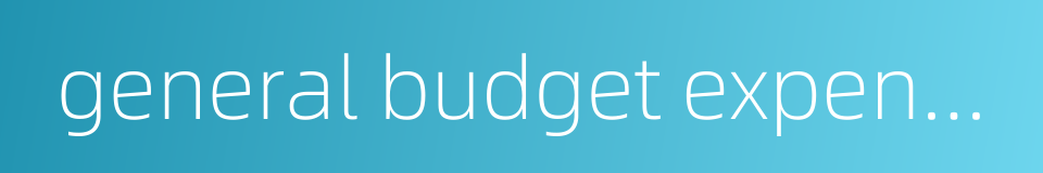 general budget expenditure的同义词