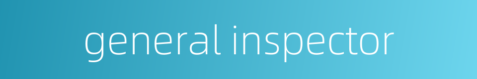 general inspector的同义词