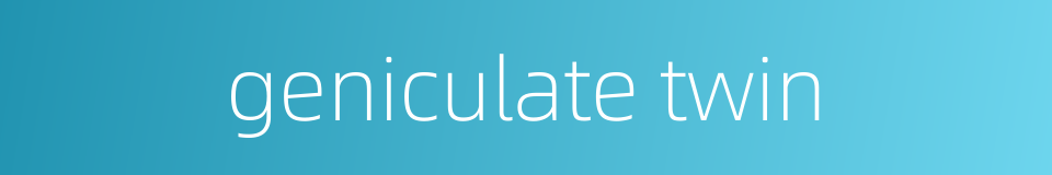 geniculate twin的同义词