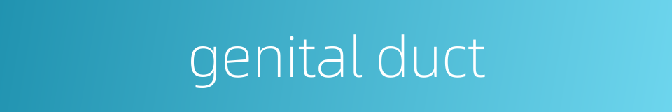 genital duct的同义词