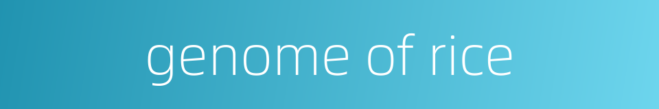 genome of rice的同义词