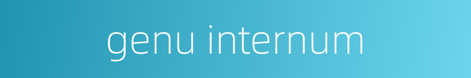 genu internum的同义词