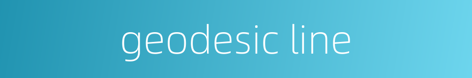 geodesic line的同义词