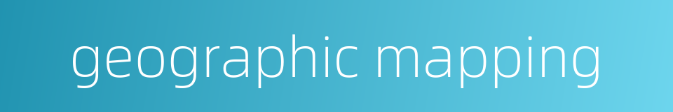 geographic mapping的同义词