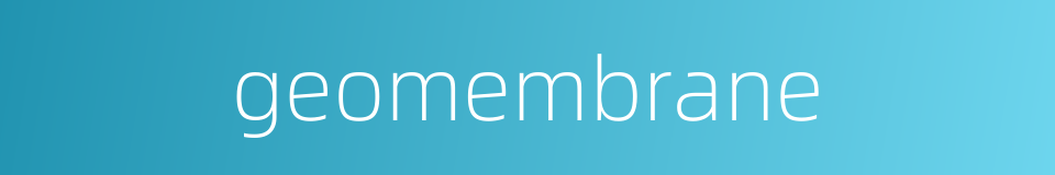geomembrane的同义词