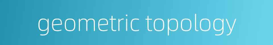 geometric topology的同义词