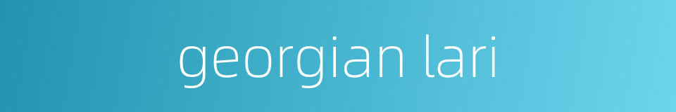 georgian lari的同义词