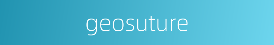 geosuture的同义词