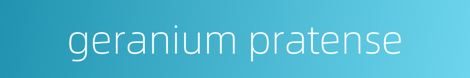 geranium pratense的同义词