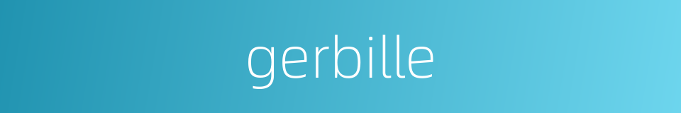 gerbille的同义词