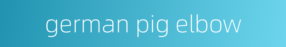 german pig elbow的同义词
