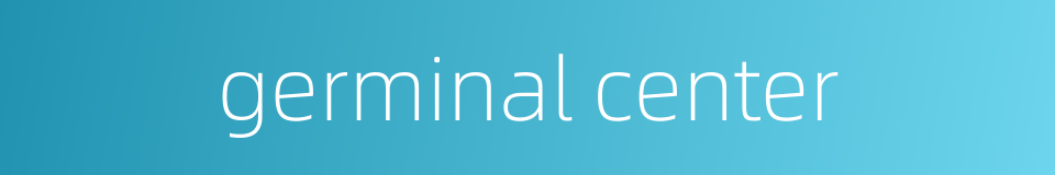 germinal center的同义词