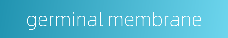 germinal membrane的同义词
