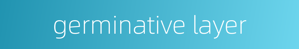 germinative layer的同义词