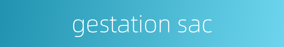 gestation sac的同义词