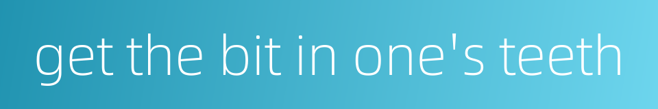 get the bit in one's teeth的同义词