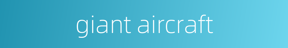 giant aircraft的同义词
