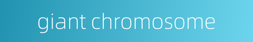 giant chromosome的同义词
