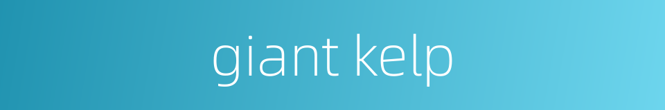 giant kelp的同义词