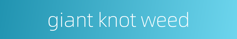 giant knot weed的同义词