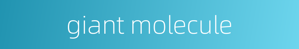 giant molecule的同义词