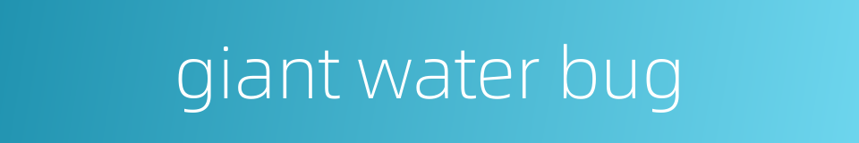 giant water bug的同义词