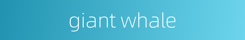 giant whale的同义词