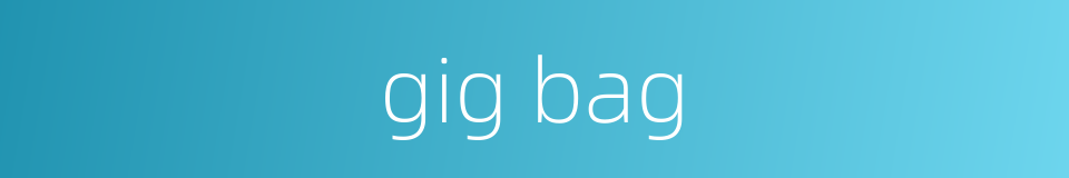 gig bag的同义词