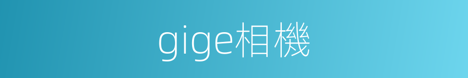 gige相機的同義詞
