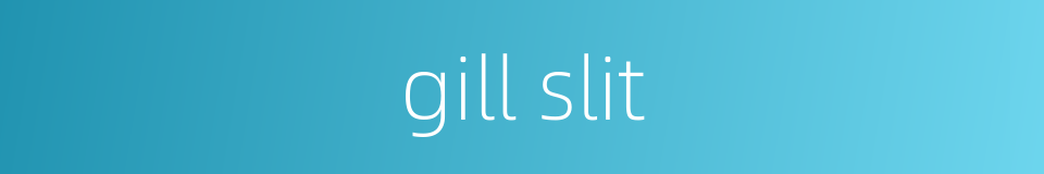 gill slit的同义词