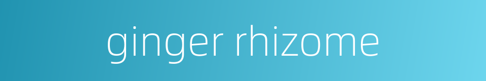 ginger rhizome的同义词