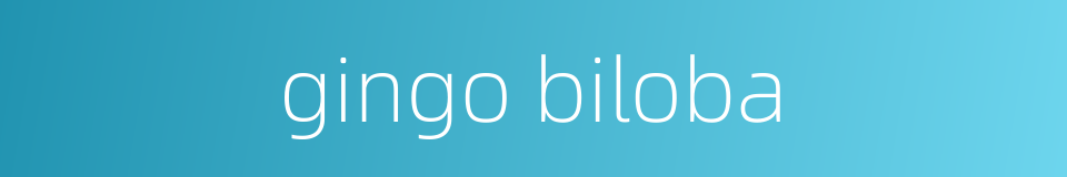 gingo biloba的同义词